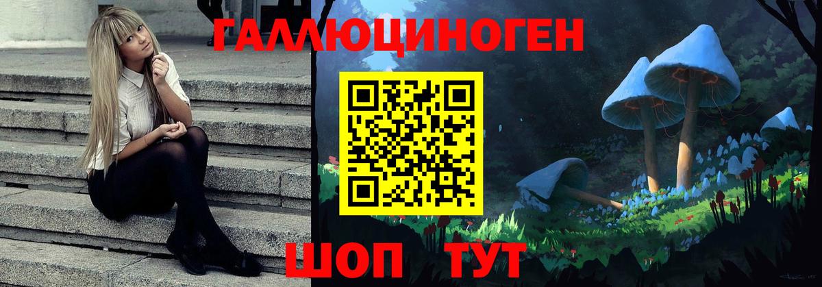как найти   Галлюциногенные грибы мухоморы  Ступино  Вход с VPN  Галлюциногенные грибы мицелий 